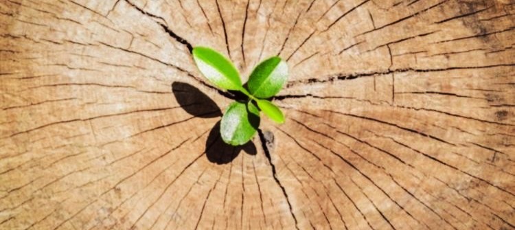 «Nel ricordo di Frederick impariamo la speranza»