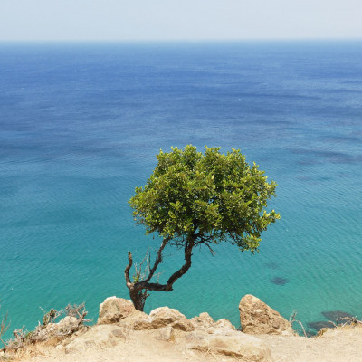 Mar Mediterraneo: un patrimonio da custodire per il domani
