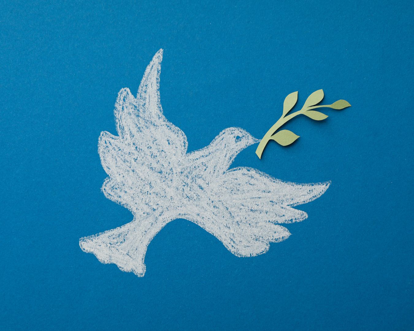 Alleniamo il cuore, la lotta per la pace richiede impegno 