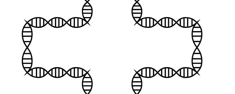 La scienza degli uomini e la sapienza del vangelo